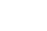 Bridger Boiler